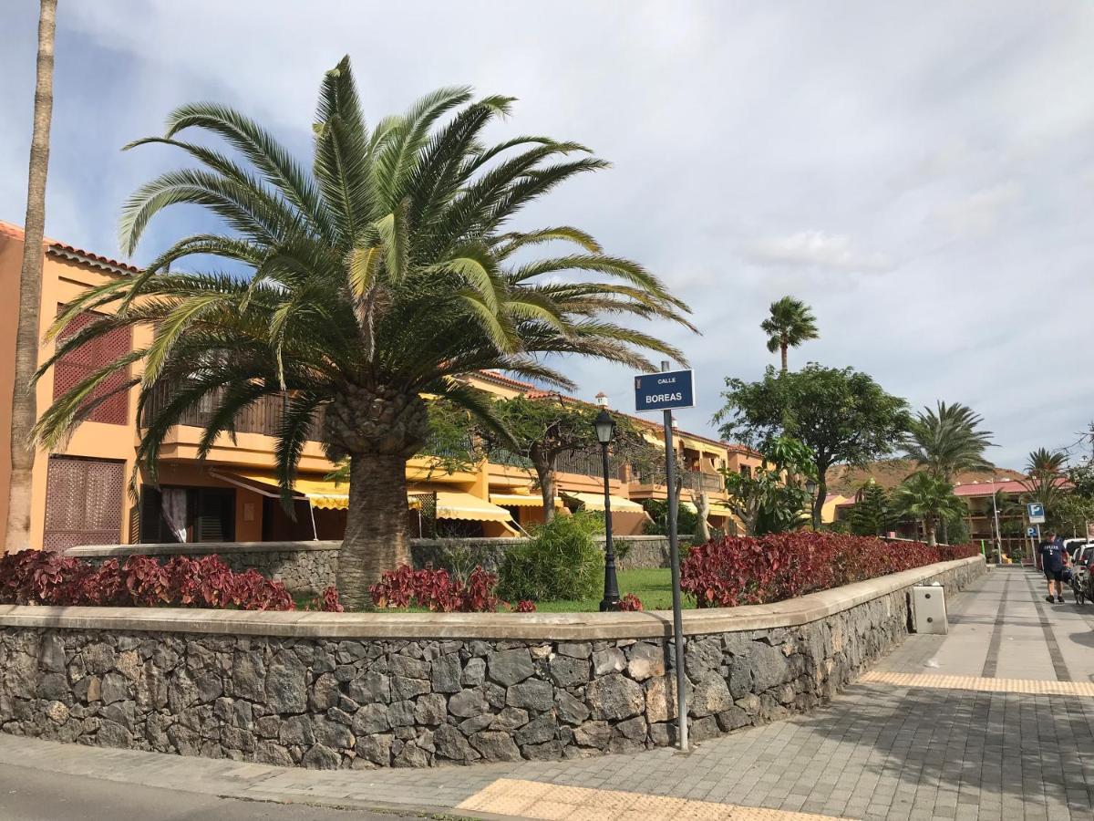Dreaming The Sun Tenerife Costa Del Silencio Exteriör bild